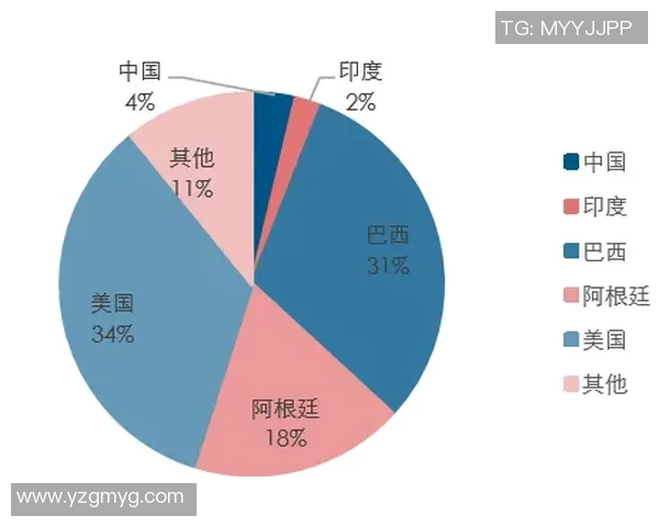 杭州排球队实力分析与未来发展潜力的深度探讨